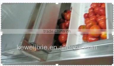 tomato sauce production line