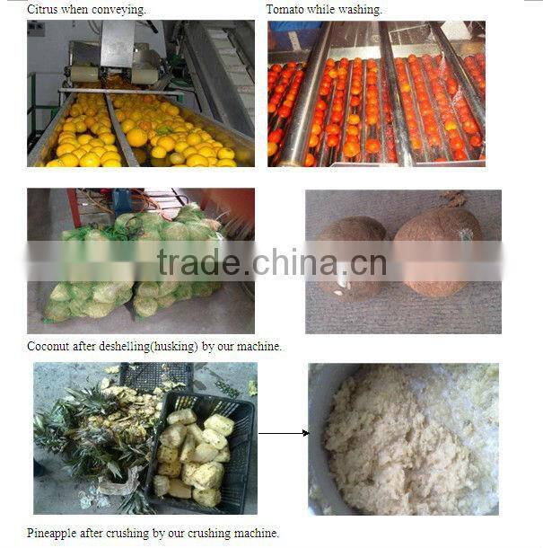 Cherry seed removing machine