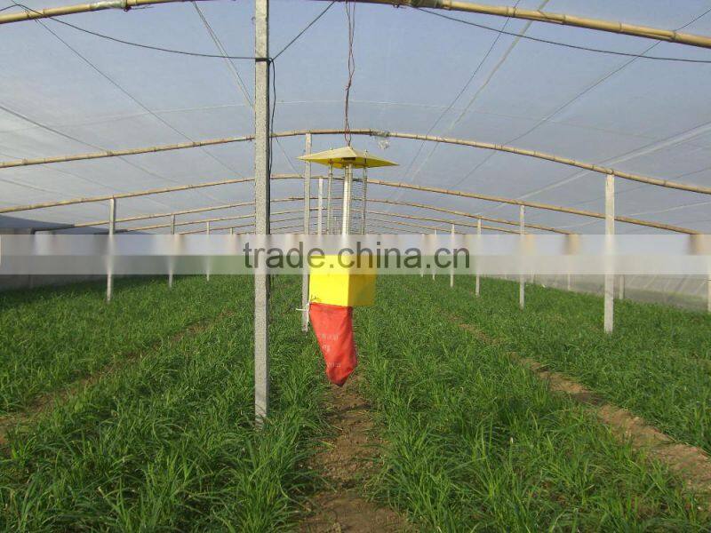 PE plant anti insect net