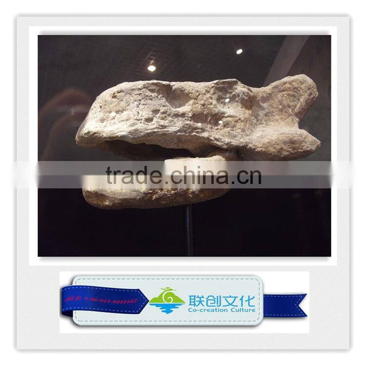 High quality museum life size dinosaur replica