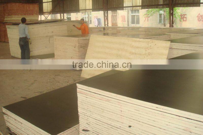 full new poplar core, mr glue, film faced plywood/construction plywood