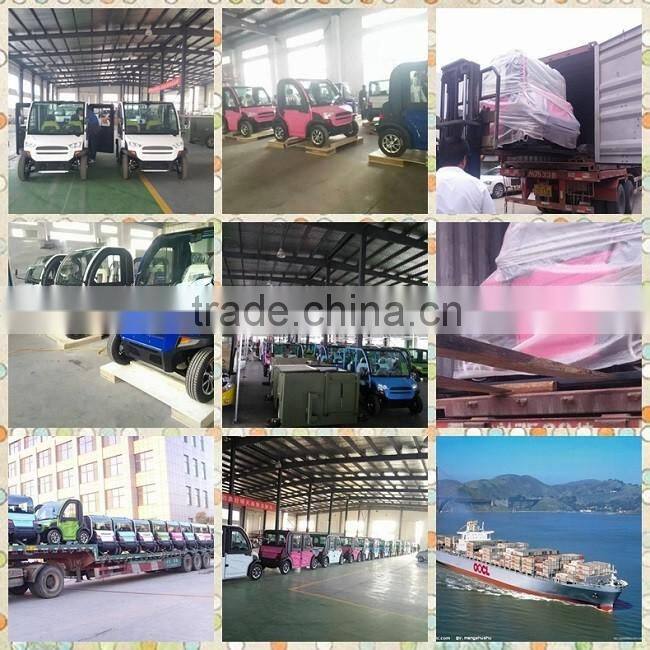 Off road 2 seats sightseeing car 4wd electric vehicle on sale