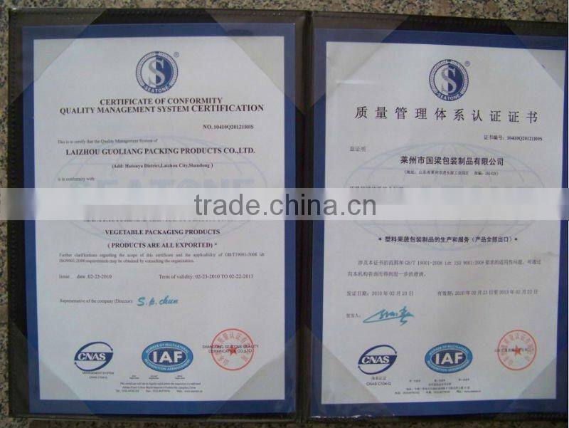 Disposable Plastic Fruit Container