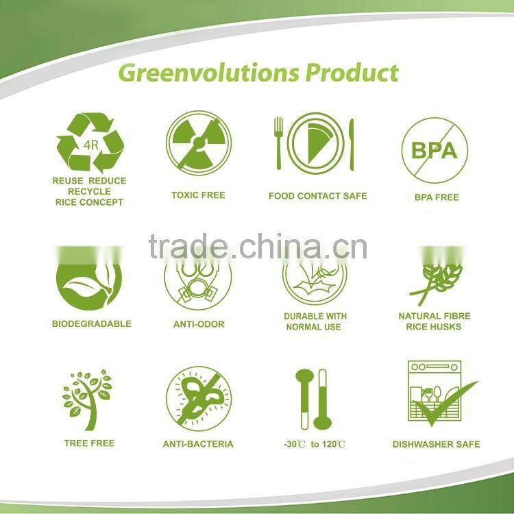 eco healthy kids lunch bowl