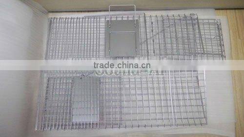 Collapsible One-door Live Animal Cage Trap For Raccon,Stray Cat,Groundhog, Opossum,Armadillos