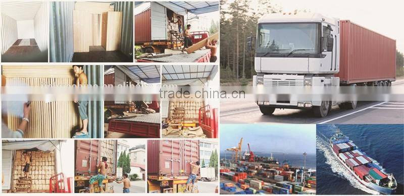 Latest interior melamine wood door design bedroom ,door skin melamine