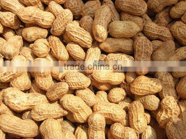 Hot sale woman 100 cotton soft breathable custom print plain tshirt blank