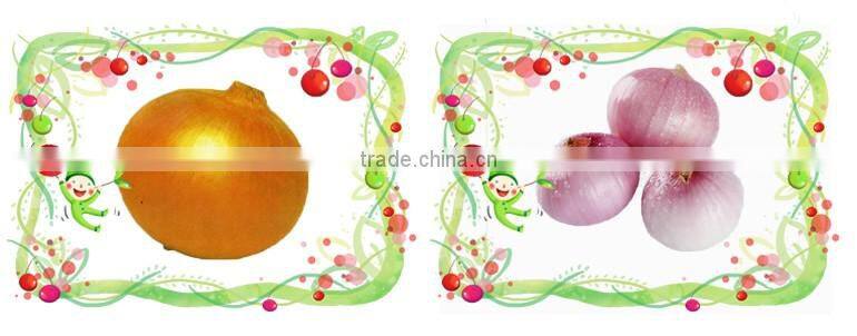 Best Fresh Potatoes New Price 2016