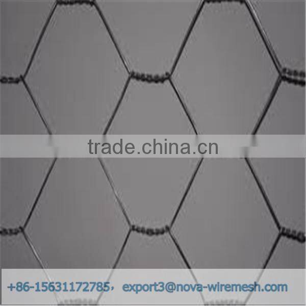 Low cost hexagonal netting /chicken wire mesh/ poultry hexagonal netting for sale