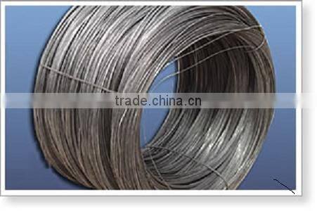 Black Annealed Wire ( factory )