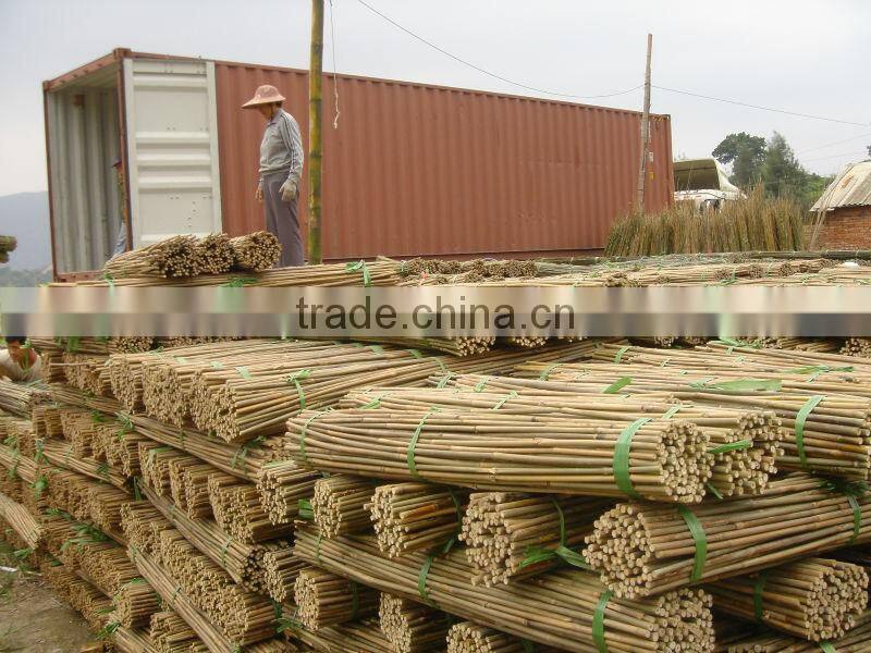Raw Flooring Bamboo