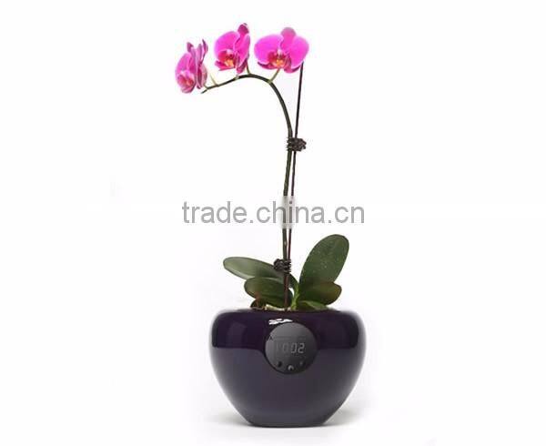Stylish Desktop Flower Pot Vase with Time Temperature Humidity Display