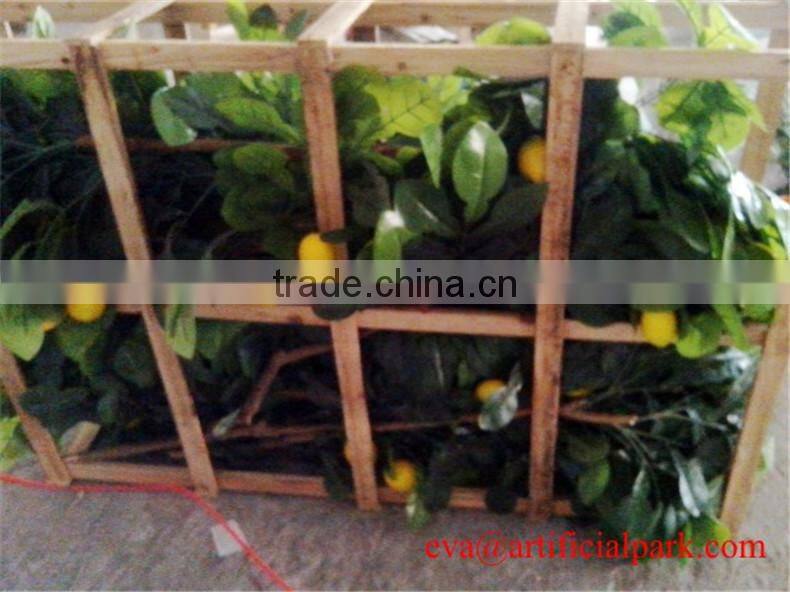 SJZJN 034 High Imitation Aritificial Lemon Tree Made in China Fashion Artificial Tree