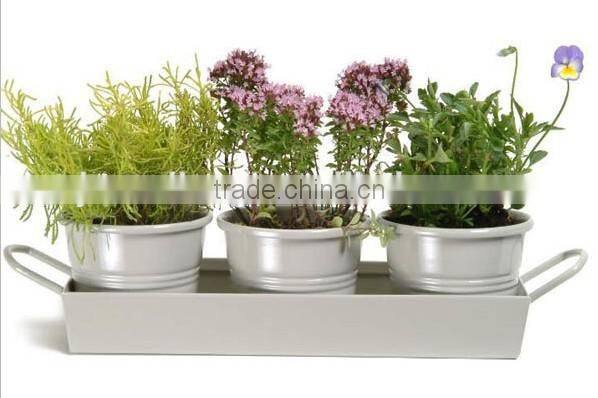 Set of 3 Planters Plant Pot Holders Small Bucket for Flower Pots With Tray