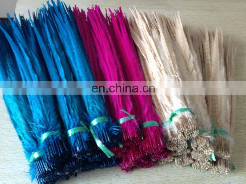 white color ringneck pheasant feathers