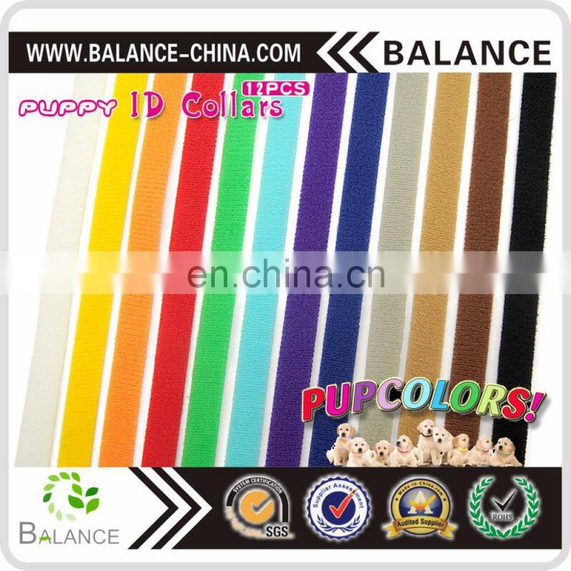 Hook & Loop Puppy Kitten ID collar with 12 colors