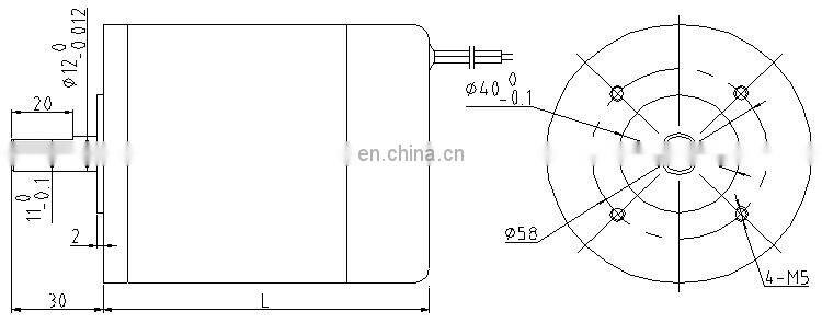 OD 88mm 3300rpm Permanent Magnet DC Motor 20V High Speed Brushed DC Motor BMM315M