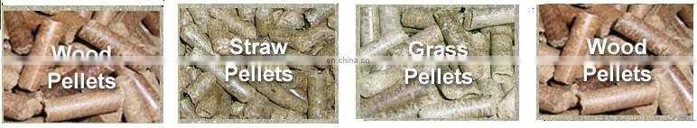 No pollution vertical ring die mini pellets production