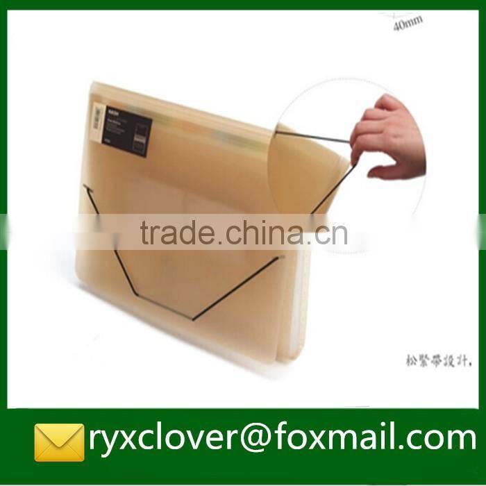 a4 PP Plastic Elastic Closure Expandable Document Bag with 12 pockets