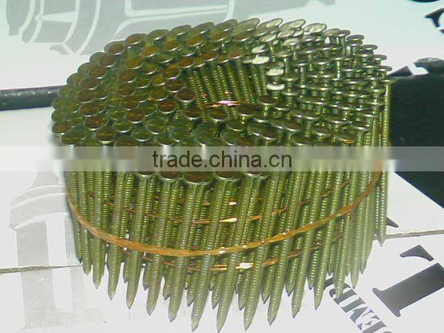 coil nails