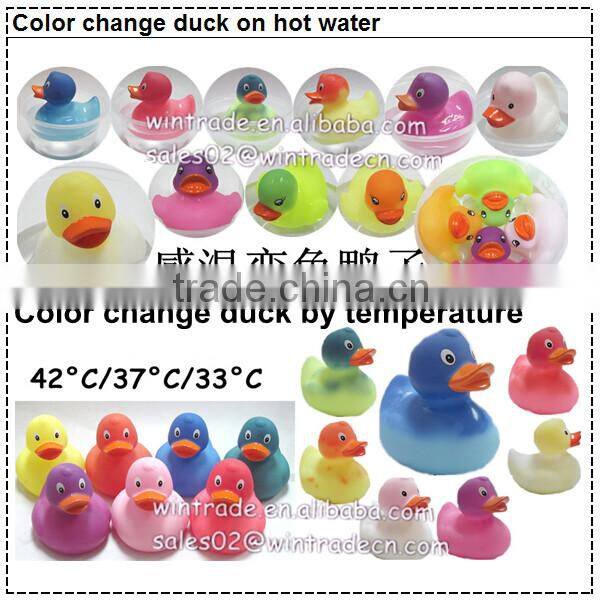 Orange floating race duck rubber river racing duck