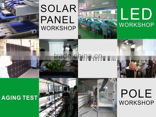 12V/24V Intelligent solar street light with pole