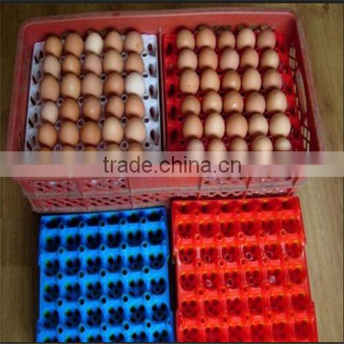 30-cell plastic egg tray/box/carton