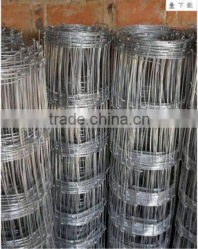 galvanized cattle fence