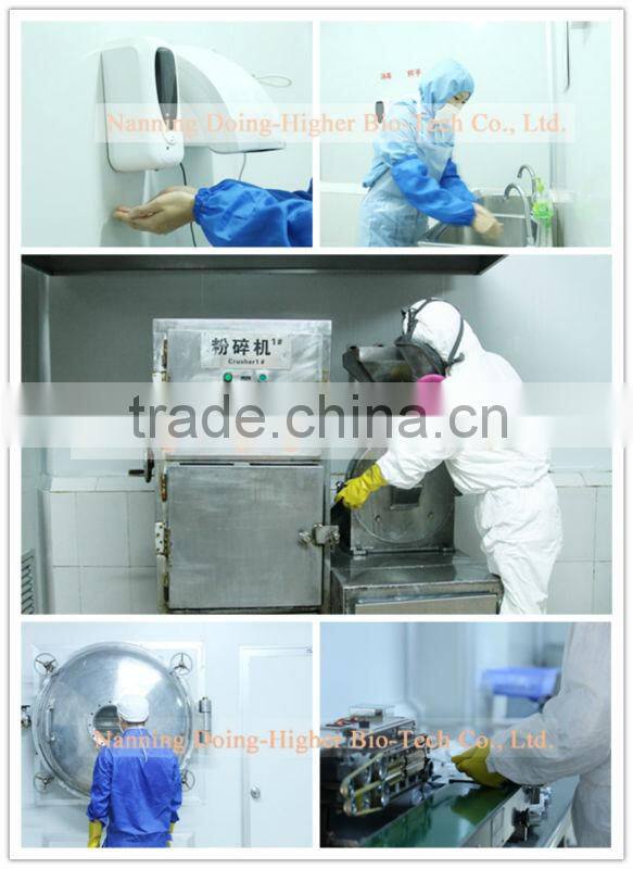 China factory professional produce bromelain enzyme