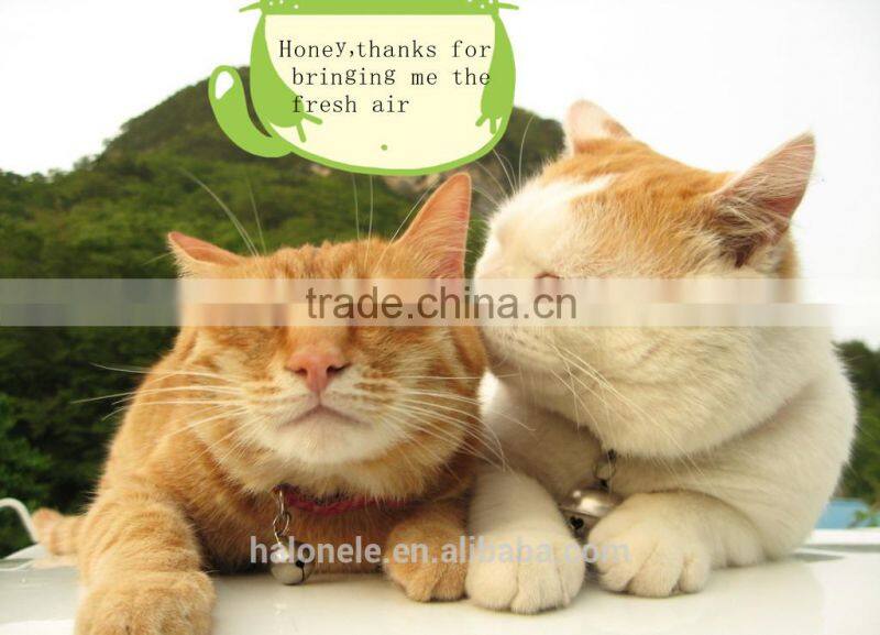 Mini Plastic Car Electric Air Purifier With Ionizer For All Branded Car