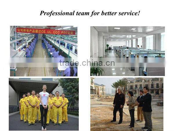 Hot sale spa detoxification ion cleanse machine with FIR belt and LCD screen BD-A010