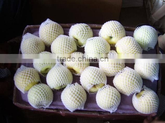 Chinese Golden Pear 9kg 18kg Carton