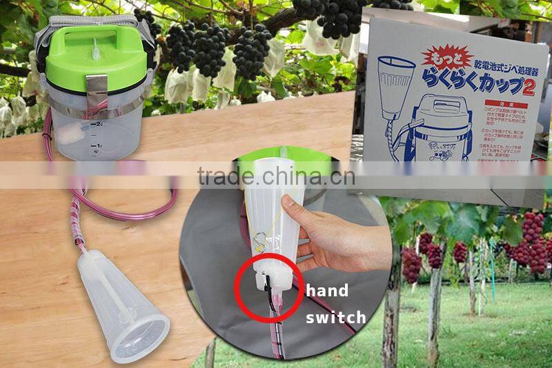 Gibberellin treatment tool for making Grape juice from Seedless Grapes