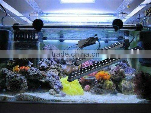 salty water led coral reef aquarium light