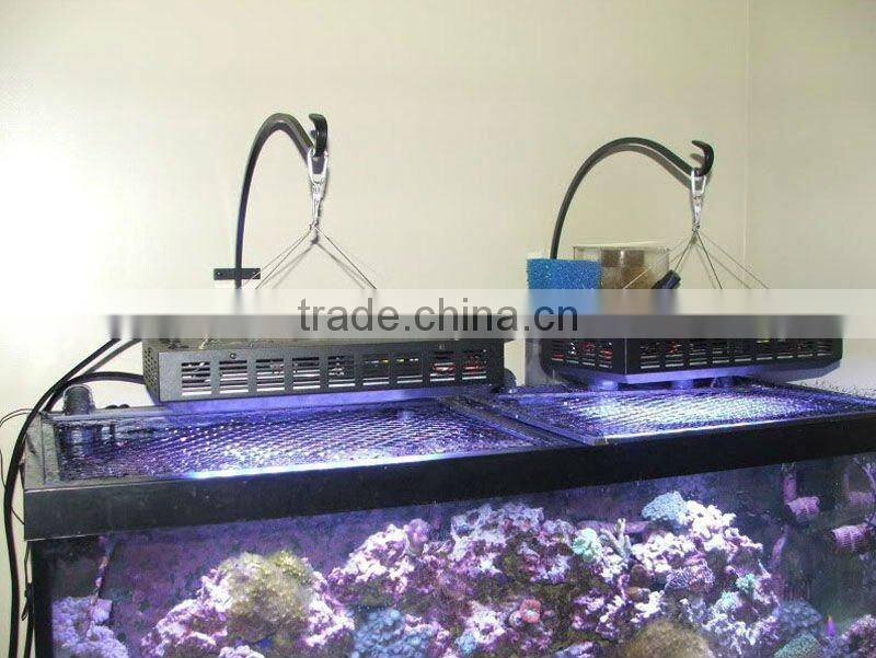 Amazing Dimmable 55*3w LED Aquarium Tanks For Coral Reef