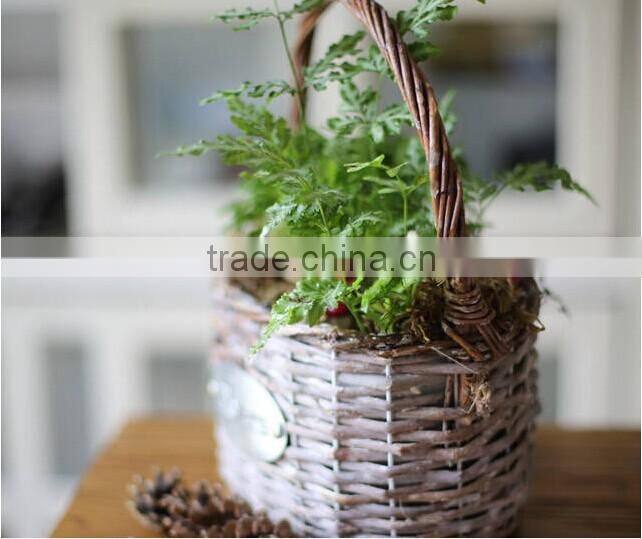 handmade plastic lined mini white wicker flower plant basket wicker decorative plant pots