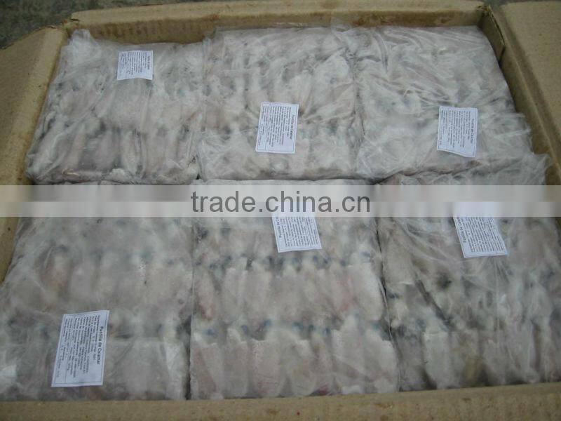 Frozen Bulk Squid (puntilla calamar)