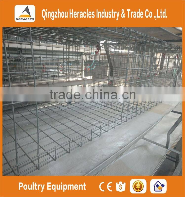 Heracles alibaba trade assurancechicken cage layer poultry farm house design