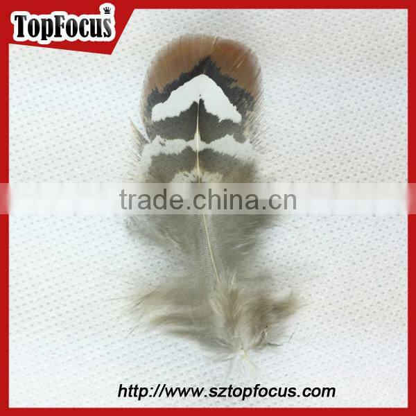 hot sale dyed Wholesale Natural cheap artificial pheasant feathers prices