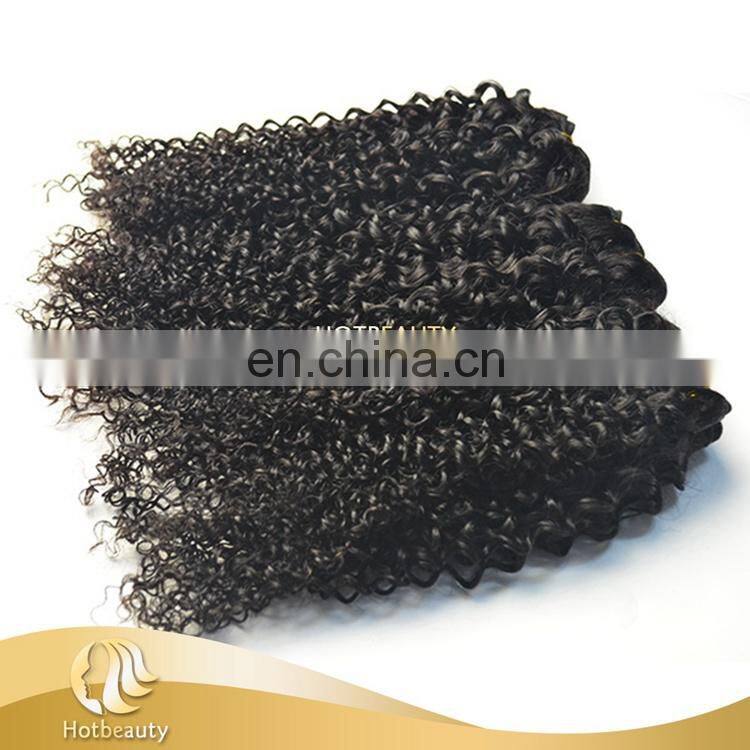 2015 Hot Sale Wet And Wavy Brazilian Hair Kinky Curly Virgin Hair