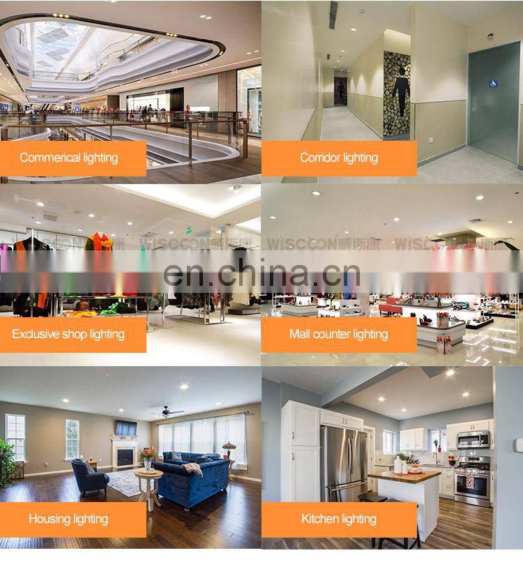 Hot selling Aluminum Alloy Lamp Body Material LED Downlights Item Type led down light
