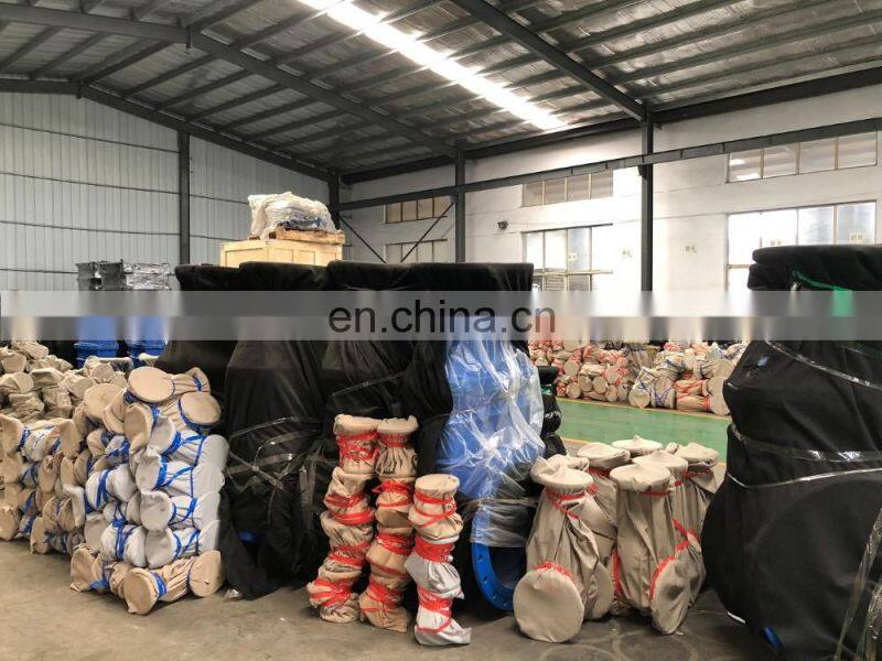 4 inch Cast Iron Flange Din Standard Y Type Strainer