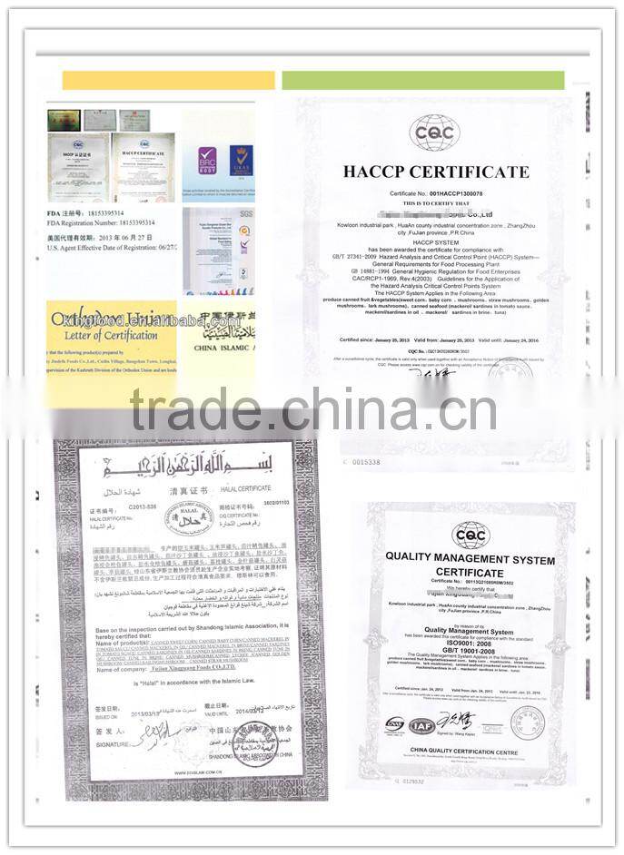 Tomato Paste In Drum / In Tin buy tomato sauce