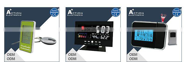 programmable large digital timer