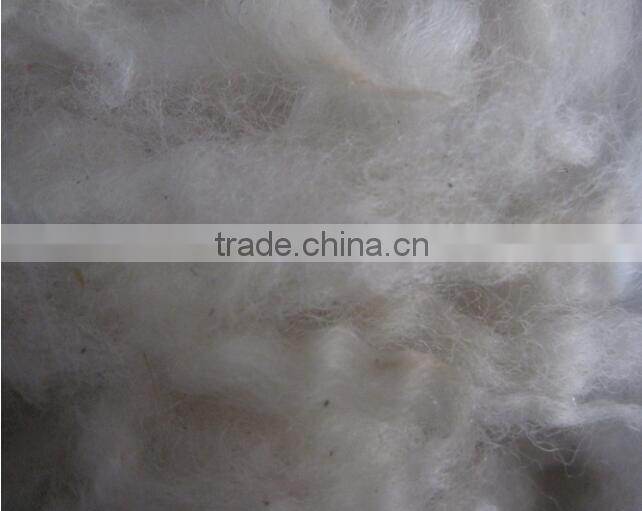 2015 Winter New Combed Sheep Wool