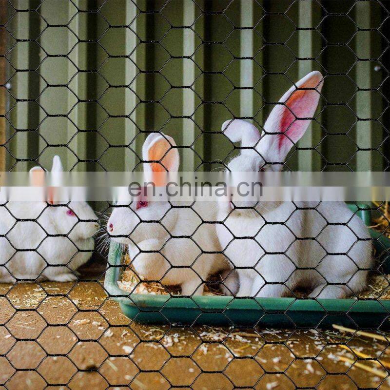 Hexagonal Wire Fencing Mesh Galvanized Steel Fence Mesh Guanzhou