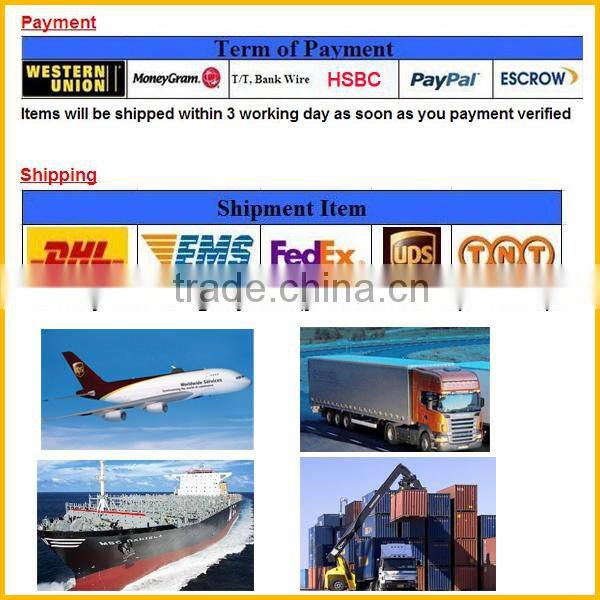 Professional smart phone LCD Air Bubble removing machine for glass refurbishment