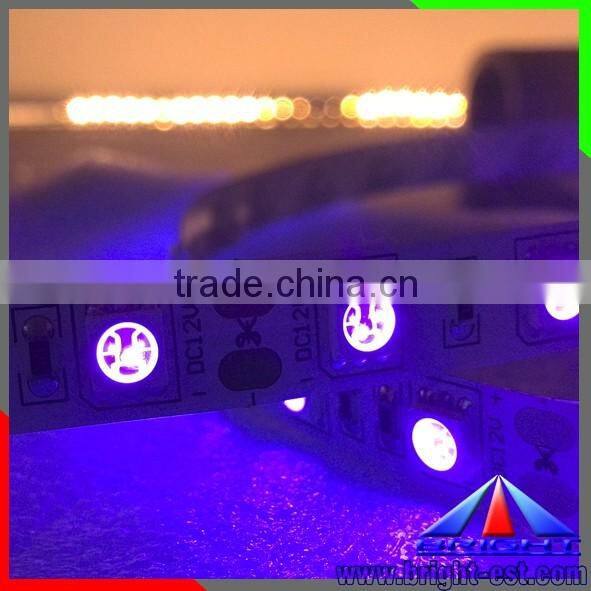 CE RoHs Non Waterproof UV Ultraviolet Led Flexible Strip Lights SMD 5050 Purple Color