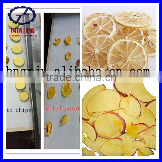 Fruit Dryer Machine