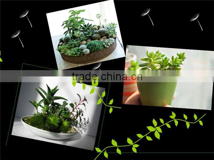 China supplier new designed potted artificial mini succulent plants for table decoration